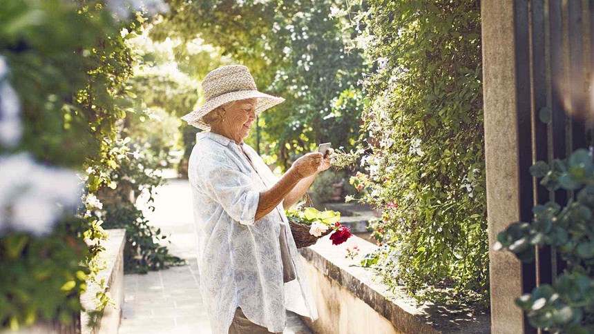 Ældre kvinde, der plukker blomster i haven